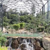 天王寺動物園：與萌物共度快樂時光！🦁🐼🌳