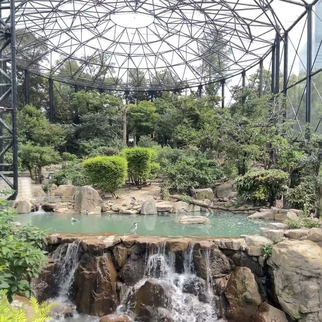 天王寺動物園：與萌物共度快樂時光！🦁🐼🌳