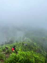 อุทยานแห่งชาติภูสอยดาว | Phu soi dao National Park