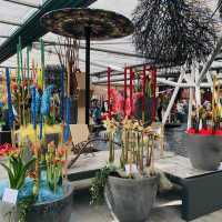 荷蘭🇳🇱盧瑟·花卉展覽活動&花藝創作比賽🌷🍀 Keukenhof 庫肯霍夫