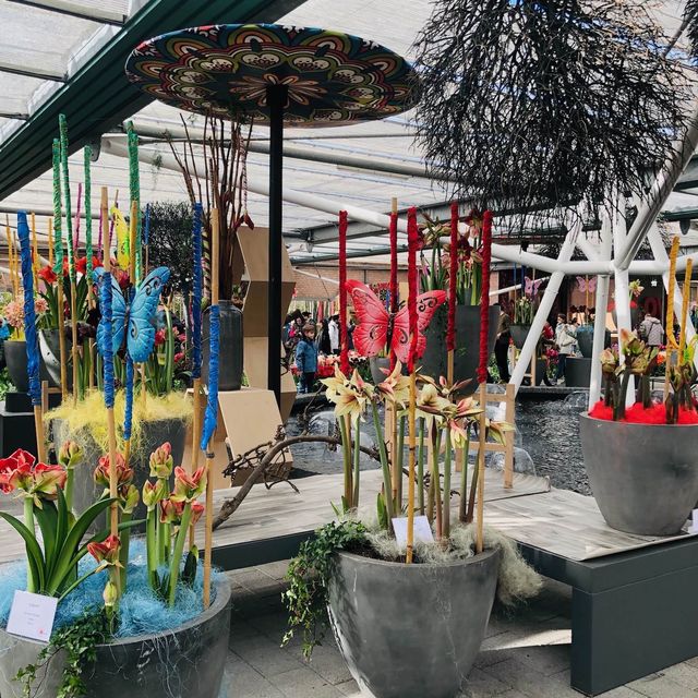 荷蘭🇳🇱盧瑟·花卉展覽活動&花藝創作比賽🌷🍀 Keukenhof 庫肯霍夫