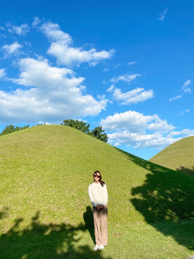 🇰🇷경주여행 첨성대 핑크뮬리, 대릉원 산책 가을명소 ! 🍂🎀 