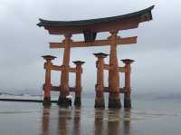 日本宮島｜必到打卡位海上大鳥居