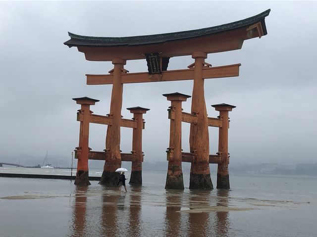日本宮島｜必到打卡位海上大鳥居
