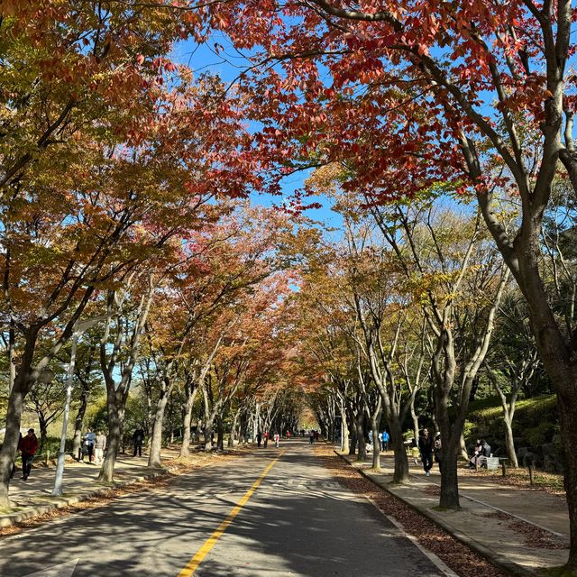 단풍이 아름다운 인천대공원 강추