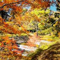 【長野県/紅葉が美しい🍁”出早雄小萩神社”と”出早公園”】