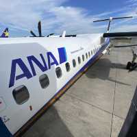 ANA546プロペラ機DHC8-Q400搭乗記