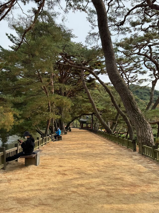충북제천 여행 필수코스 의림지 용추폭포