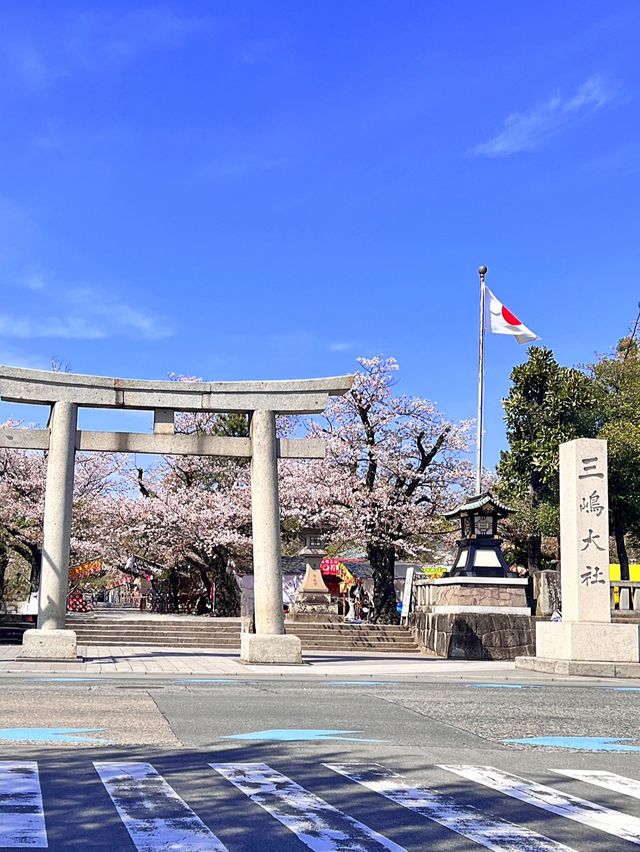 【静岡】伊豆随一のパワースポット　三嶋大社