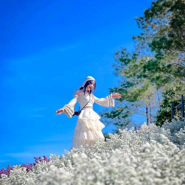 จุดเช็คอินแห่งใหม่เขาค้อ สวนดอกไม้&คาเฟ่🌸🌼