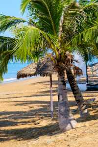 La Flora Khao Lak รีสอร์ทติดทะเล เขาหลักพังงา