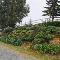 Desa Farm Kundasang, Sabah