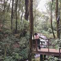 Nottyjourney เจอกิ่วแม่ปาน