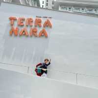 เที่ยวใกล้ๆ กับโรงแรมสุดคิ้วบ์ Terra Nara Hotel