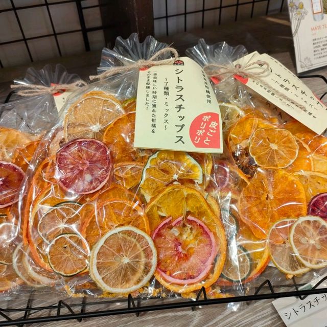 【兵庫県 神戸】神戸布引ハーブ園＆ロープーウェイ✨