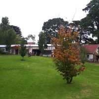 Beautiful art gallery @ Montsalvat Eltham.