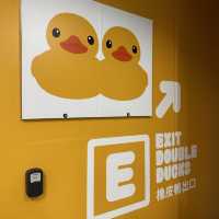 Yellow Ducks are back to Hong Kong 🐤🐤