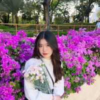 สวนเบญเเละดอกไม้จากปากคลองตลาด💐