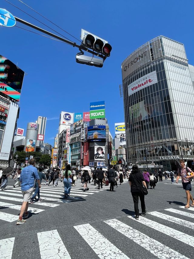 渋谷🤩東京最繁忙地段💓商場百貨特色小店😌Silent最紅拍攝🎬唱片鋪‼️