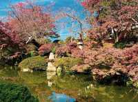 วัดคิโยะมิซุ 清水寺 หรือวัดน้ำใส 🍁⛩️