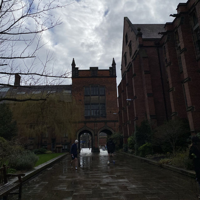 ✨Newcastle University✨