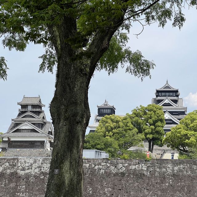 KUMAMOTO 1 Day trip
