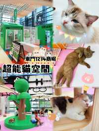 ⭐️一齊喵喵喵🐱商場入面竟然可以玩貓貓🐈‍⬛