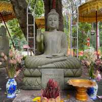 Whispers of Wisdom: Pagoda and School