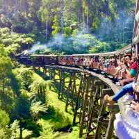 Puff puff! Puffing Billy Train Ride! 🚂 