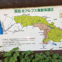 美女平 ｜自然探島步道🌲🌳🕊️