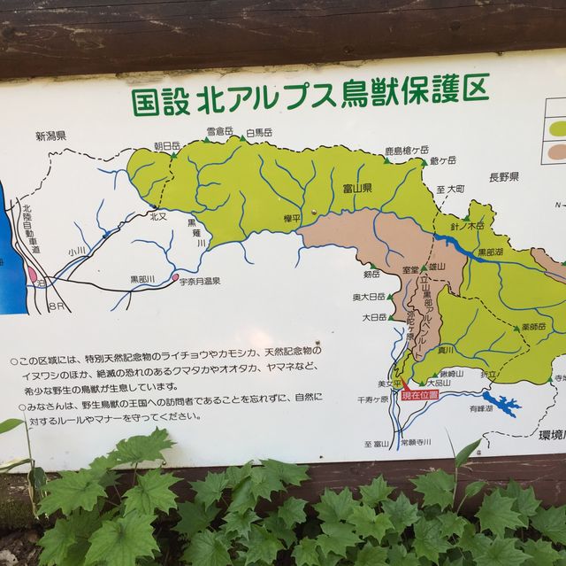 美女平 ｜自然探島步道🌲🌳🕊️