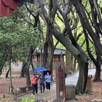 한반도에서 가장 오래된 유적 🪵 제주 삼성혈