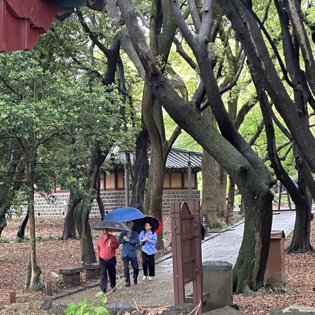 한반도에서 가장 오래된 유적 🪵 제주 삼성혈
