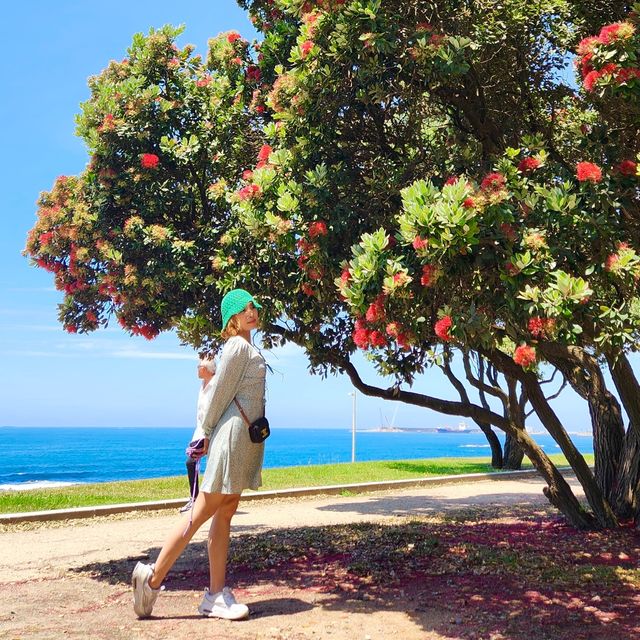 [포르토] 예쁜 공원이 가득한 포르토 해변 Passeio Alegre🏝️