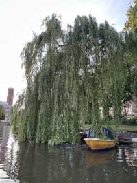 Canal Cruise, the best way to explore amsterdam 🇳🇱🚤 