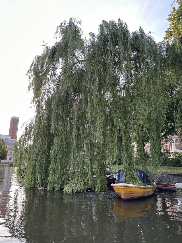 Canal Cruise, the best way to explore amsterdam 🇳🇱🚤 