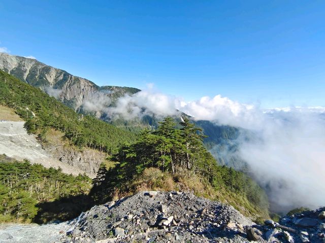 台東-全台最高的隧道🎀|大關山隧道|（景色優美動人）