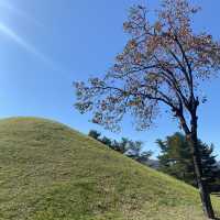 신라를 찾아서! 가을의 대릉원 산책🍂