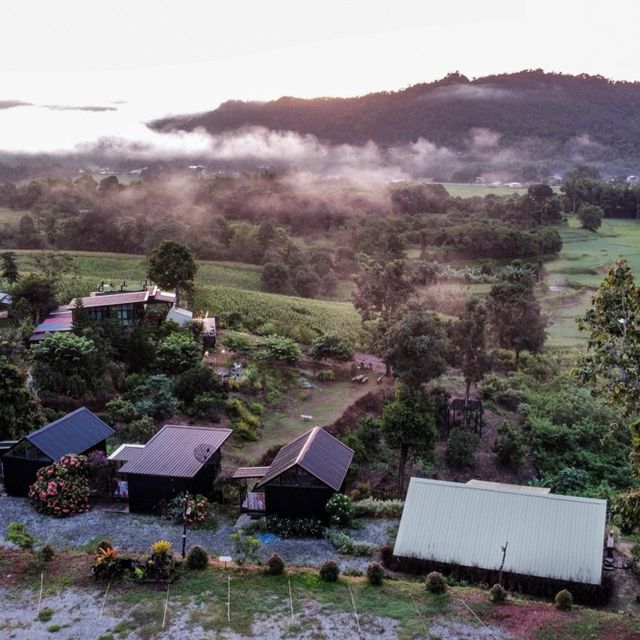 เลวานาแห้ว - โฮมมี่เล็กๆ อ.นาแห้ว จ.เลย 🏠