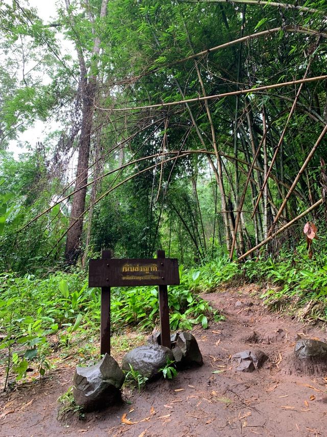 อุทยานแห่งชาติภูสอยดาว | Phu soi dao National Park