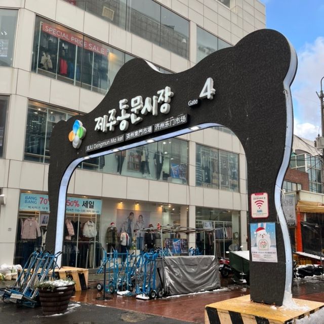 친구와 뚜벅이 겨울 제주⛄️🍊
