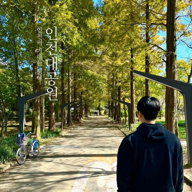 인천에 이런 숲과 공원이라니, 대박이잖아