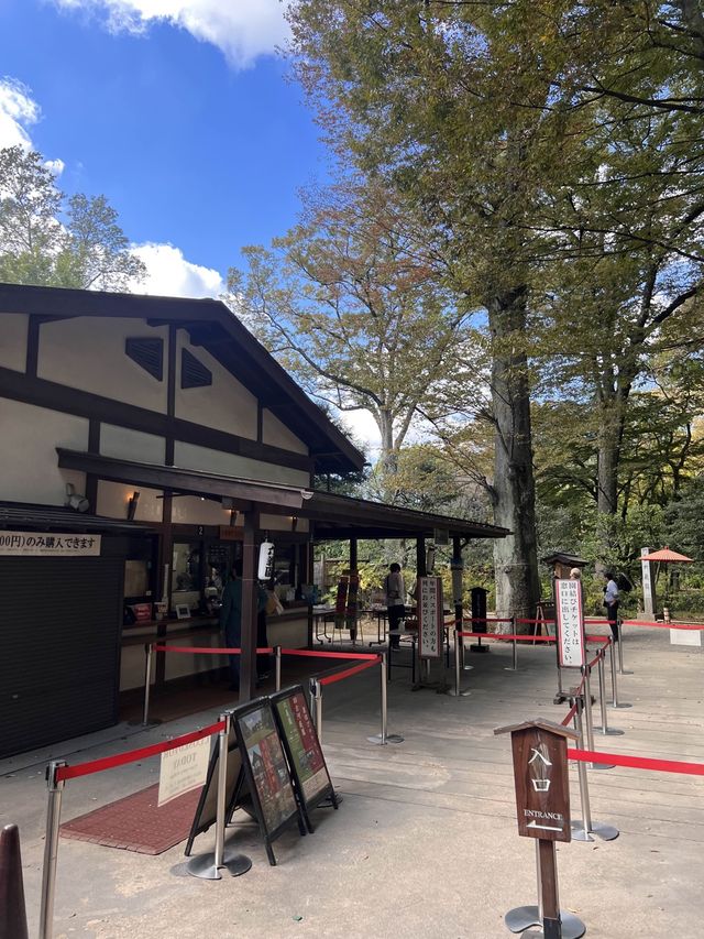 東京【駒込】六義園