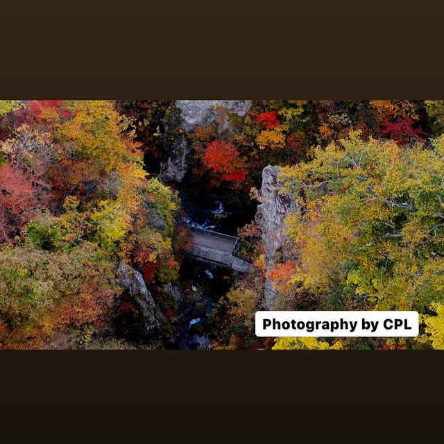 Stunning autumn view in Japan! Stunning autumn view in Japan!