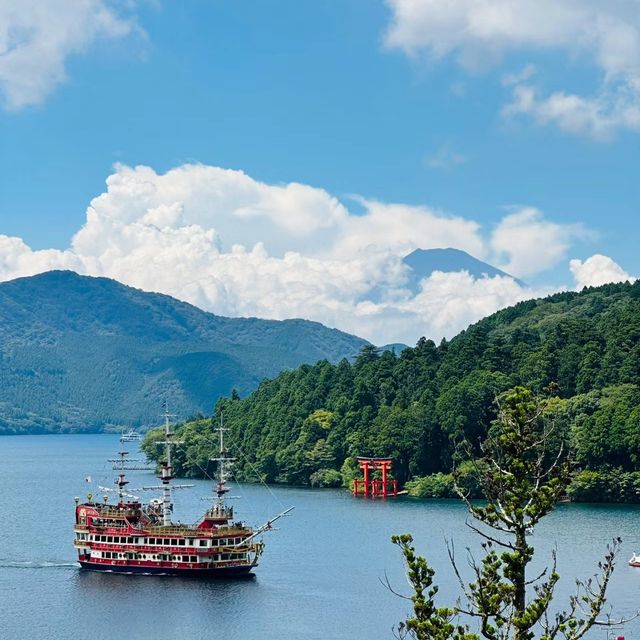 🏖️成川美術館🤣海景打卡位美術館🎨🏞️🌺