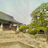 Rengeji: Tranquil Haven in Hikone