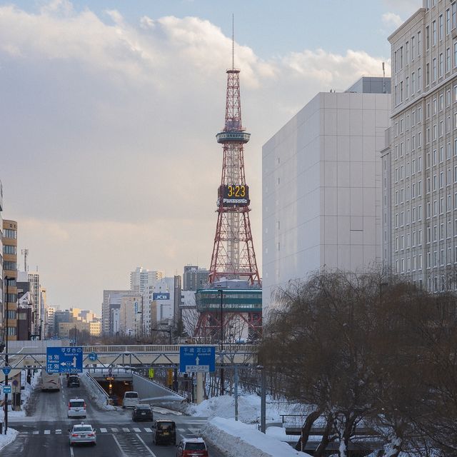 삿포로에서 제일 높은곳인 삿포로타워