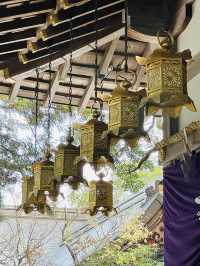 【大阪府/枚岡神社】境内に鹿がいる「元春日」