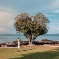 Sai Kaew Beach Resort พักบนหาดสวยสุดในเสม็ด