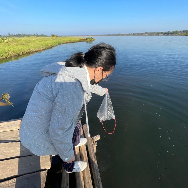 🙏🏝️ไหว้ปู่อือลือ ณ เกาะดอนโพธิ์🏞️🌿